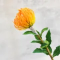 Single branch flocked pincushion flower detail shot, artificial tropical floral decor. - Orange Yellow
