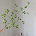 Detailed close-up of artificial green plant branch with delicate leaves for floral arrangement decor. - Large Size / Green