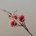 Close up detail of artificial magnolia flower branch with red and white soft touch petals. - Crimson