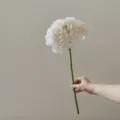 Close-up detail of white artificial hydrangea flower single stem, realistic floral decor design. - White