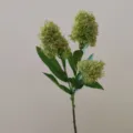 Detailed close-up shot of artificial skimmia flower branch with realistic green buds. - Green