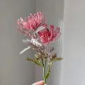 Artificial pincushion flower short branch flocked fake plant home decor background floral arrangement - Rose Red