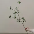 Close-up detail of artificial green plant leaf branch for home decor and floral arrangement. - Medium Branch / Green