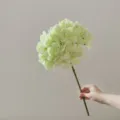 Detailed view of single stem artificial hydrangea flower, leaf-less green floral home decor. - Green