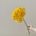Single stem artificial yellow hydrangea flower detail, premium faux decor for home use. - Yellow