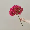 Singolo ramo di ortensia artificiale, fiore di seta finto per decorazione casa e matrimonio. - viola-rosso