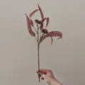 Artificial eucalyptus branch with berries autumn color fake plant home decor floral arrangement - Iron Red