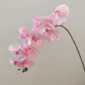 Close-up detail of the pink artificial phalaenopsis orchid flower branch with nine realistic heads. - Pink