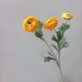 Detailed close-up shot of yellow artificial ranunculus flower head, silk floral design. - Orange
