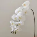 Premium 9-head touch-moisturizing phalaenopsis artificial orchid branch home decor flower - White