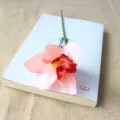 Artificial silk orchid flower head short branch for home decor and floral arrangement display. - Classical Pink