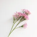 Ramo singolo di fiore artificiale rosa di nebbiolina per decorazione casa e fotografia. - Viola chiaro