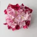 Artificial hydrangea flower head silk flower for DIY wedding home party decoration and floral backgrounds. - Bright Plum Red