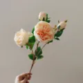 Artificial Austin Rose Silk Flower 3 Heads Fake Floral Wedding Party Decoration - Champagne
