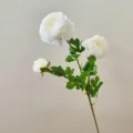Detailed close-up of a 3-head white artificial ranunculus flower branch for decoration. - White
