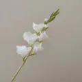 Single branch artificial gladiolus flower detail shot, premium white floral decor. - White