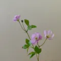 Detailaufnahme künstlicher Schmetterlings-Hahnenfuß-Blumenzweig mit grünen Blättern für DIY. - Flieder