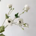 Detailed view of artificial multi-head white anemone silk flowers for wedding decor. - White