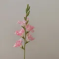 Artificial gladiolus pink flower single stem for home decor living room floral art - Pink