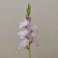 Artificial single stem light purple gladiolus flower petal detail close-up decor - Light Purple