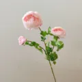 3-Head Artificial Ranunculus Silk Flower Stem Real Touch Fake Floral Detail Close-Up - Soft Pink