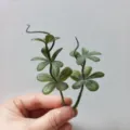 Artificial 5-petal PVC leaf green plant DIY handmade corsage hat accessory detail view - Green
