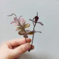 Close-up detail of artificial PVC plant leaf branch, handmade DIY floral accessory for crafts. - Brown