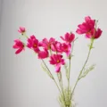 Long branch artificial cosmos flower detail shot, pink silk flower for home wedding decor. - Fuschia