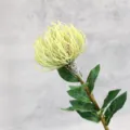 Single branch flocked pin cushion artificial flower tropical plant home decor photography prop - Green