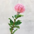 Artificial pincushion flower detail shot, pink flocked bloom and green leaves close up. - Rose Red