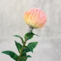 Artificial pincer protea flower single stem flocking green leaf home decor photo prop detail - Pink