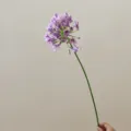 Close-up detail of the purple artificial agapanthus flower stem, perfect for floral arrangement. - Pink Purple