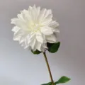Close-up detail of white artificial dahlia flower head with green leaf and stem decor. - White