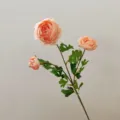 Artificial 3-head ranunculus silk flower branch for home decor wedding photography props. - Champagne
