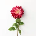 Single branch large dahlia artificial flower silk flower for home decor and photography prop red - Rose Purple