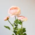 Artificial ranunculus 3-head silk flowers pink faux floral bouquet for home decor props - Light Pink