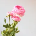 3-Head Artificial Ranunculus Silk Flower Peony Bouquet for Home Decor and Photography Prop - Pink