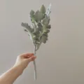 38cm artificial silver ragwort dusty miller rabbit ear leaves green plant floral decor - Green