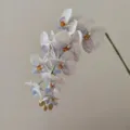 3D printed artificial phalaenopsis orchid branch detail view, soft touch decorative flower - Aqua Blue