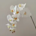 Close-up detail of artificial white phalaenopsis orchid flower with natural texture. - White with Yellow Core