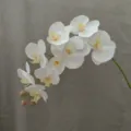 Detailed close-up view of artificial white phalaenopsis orchid branch floral decor - White (Light Yellow Core)