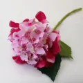 Ortensia artificiale fiore di seta stelo singolo rosa decorazione casa nozze oggetti - Rosso Prugna Brillante