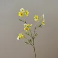 Detailed close-up of artificial yellow and white clematis flower branch for home decor. - Yellow