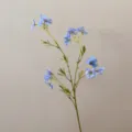 Detail shot of artificial blue flower branch, perfect for DIY crafts, home decor and props. - Blue
