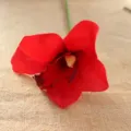 Artificial silk orchid flower head red cymbidium for home decor craft floral arrangement detail - Red