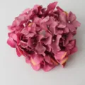 Artificial hydrangea flower head for DIY decoration background craft detail view display. - Purple Pink