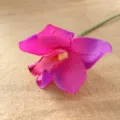 Artificial silk orchid flower head detail close up view for home decoration floral arrangement. - Fuschia