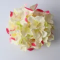 Artificial hydrangea flower head pink-tipped cream silk floral DIY craft wedding party home background decor. - Yolk Pink
