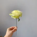 Single branch artificial rose fake silk flower home decor wedding party floral arrangement supply - Light Green