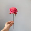 Single stem French artificial rose silk flower for beautiful home and party decor. - Rose Red